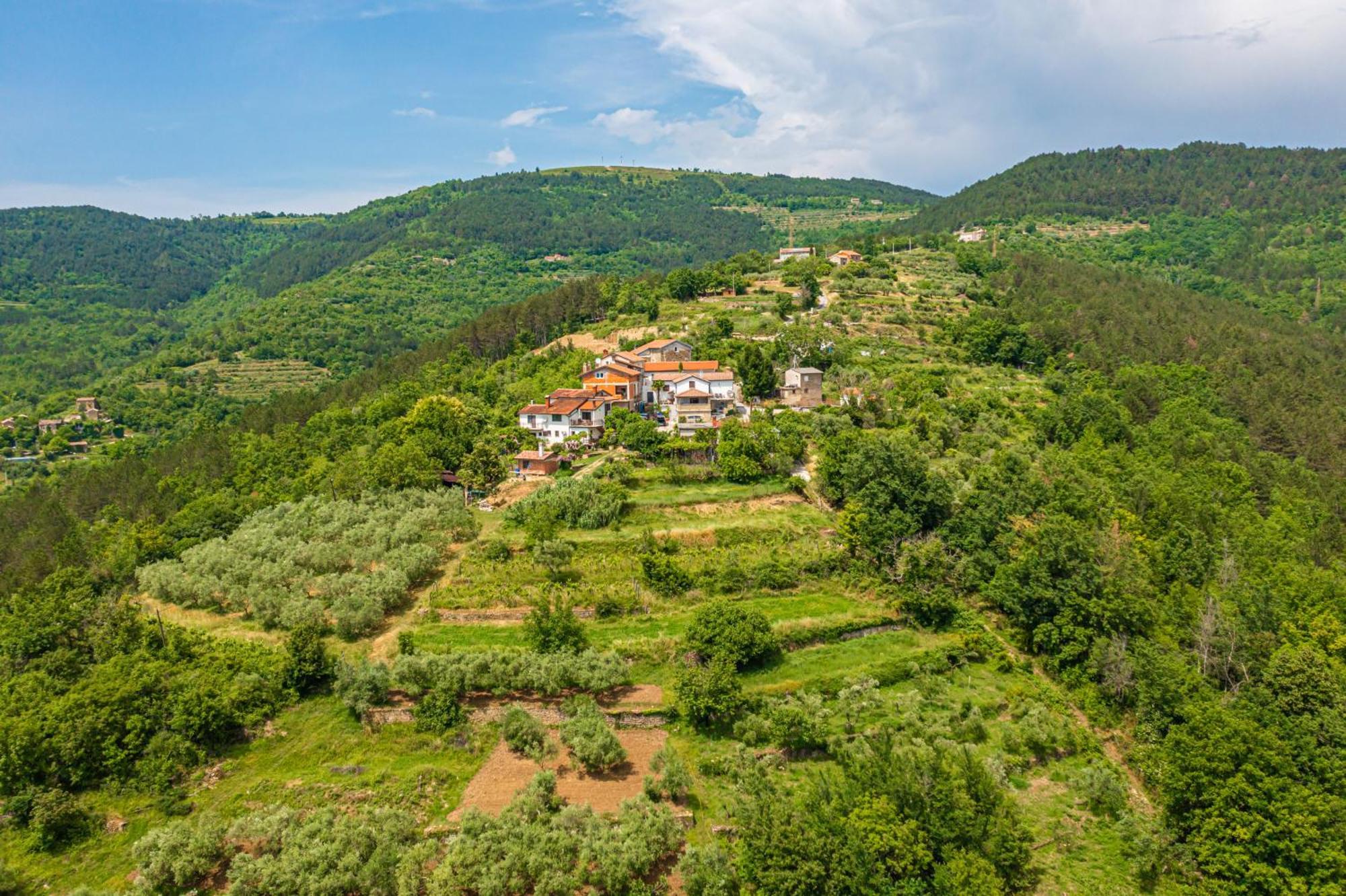 Holiday Home Belveder Motovun With Heated Pool Livade Buitenkant foto