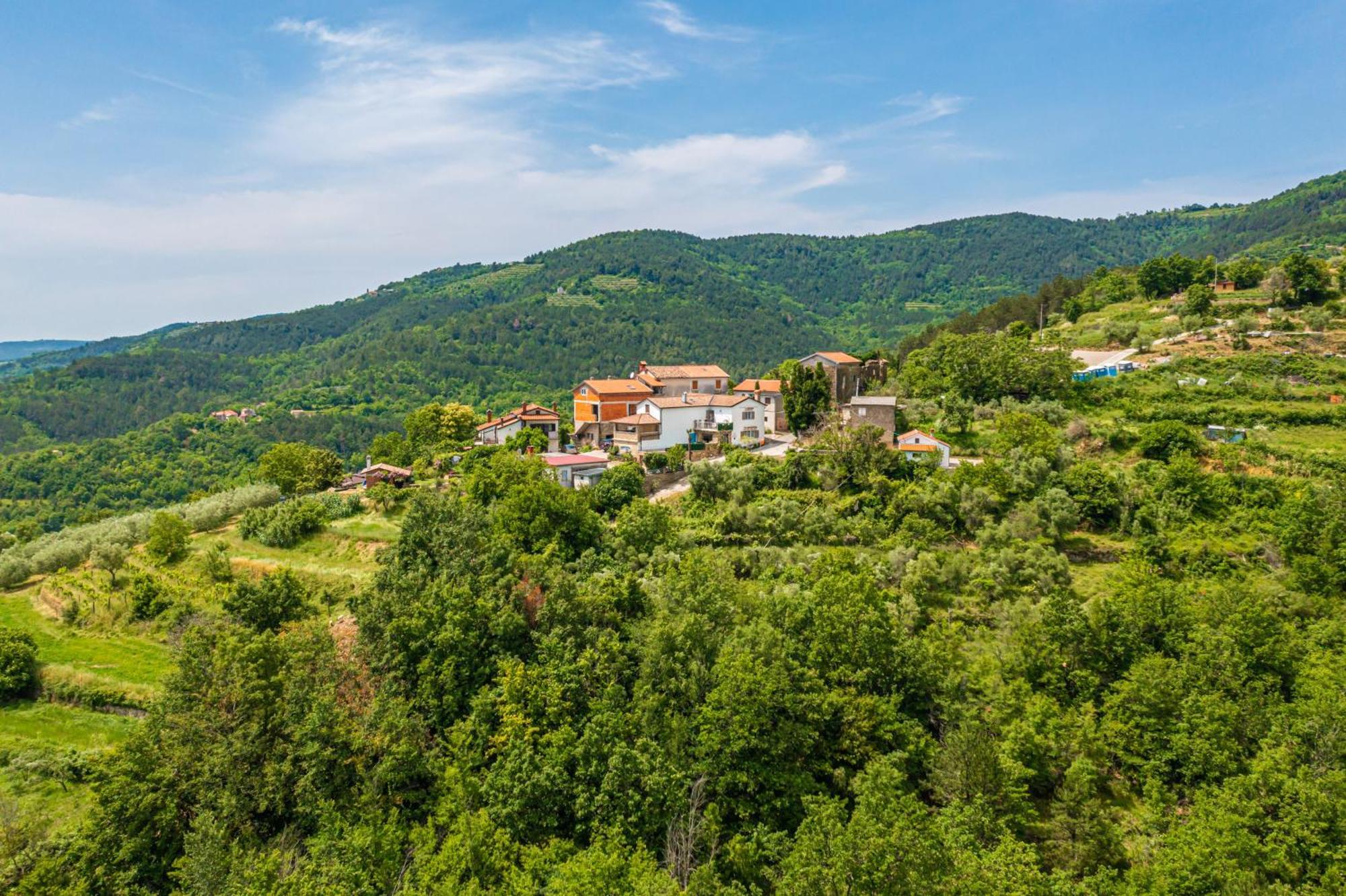 Holiday Home Belveder Motovun With Heated Pool Livade Buitenkant foto