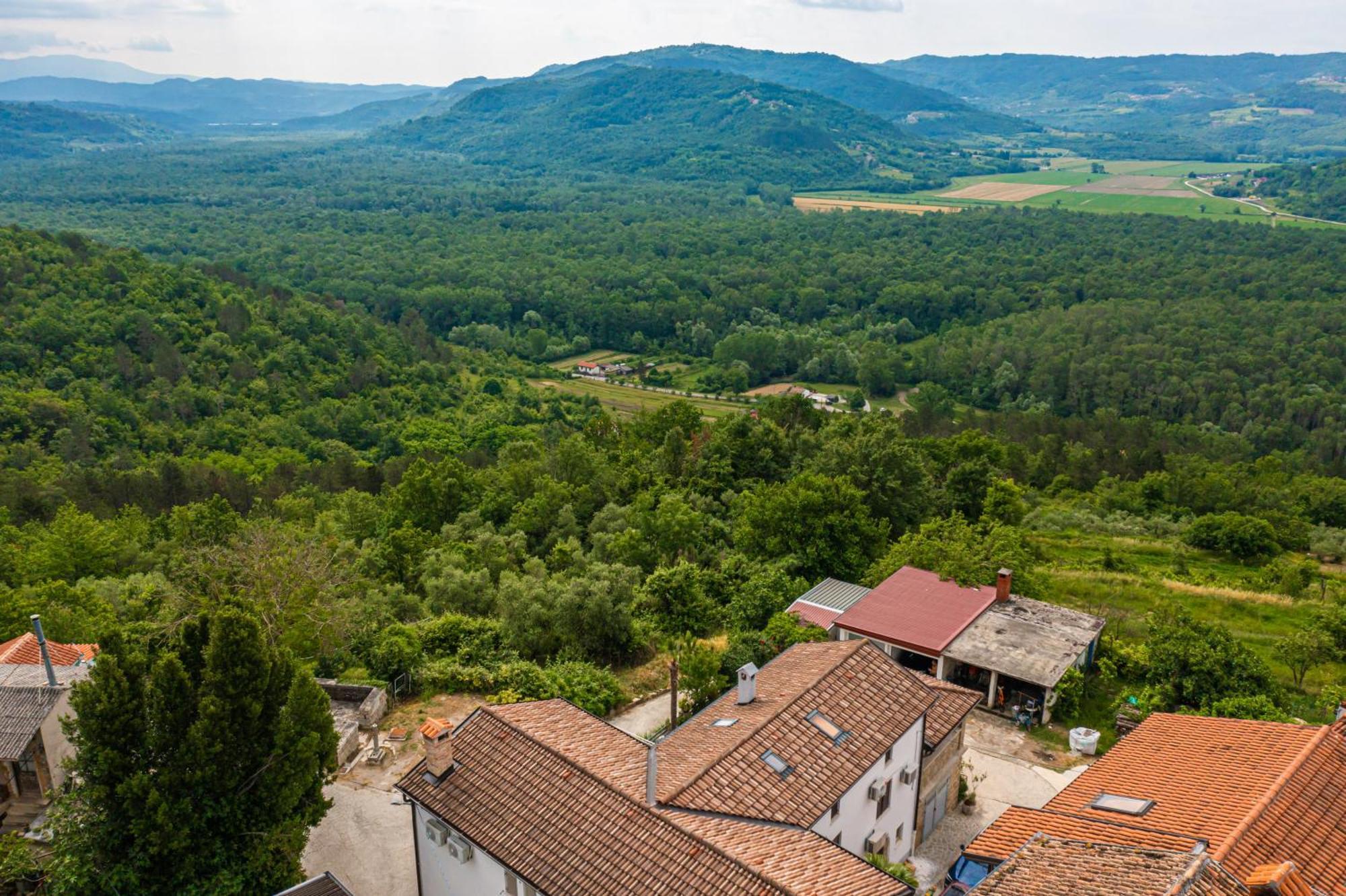 Holiday Home Belveder Motovun With Heated Pool Livade Buitenkant foto